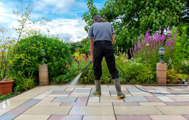 Best Brick and Stone Cleaning in The Colony, TX