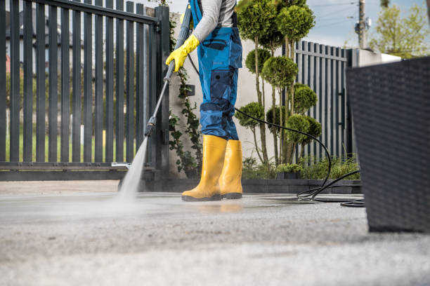 Best Building Exterior Pressure Washing in The Colony, TX